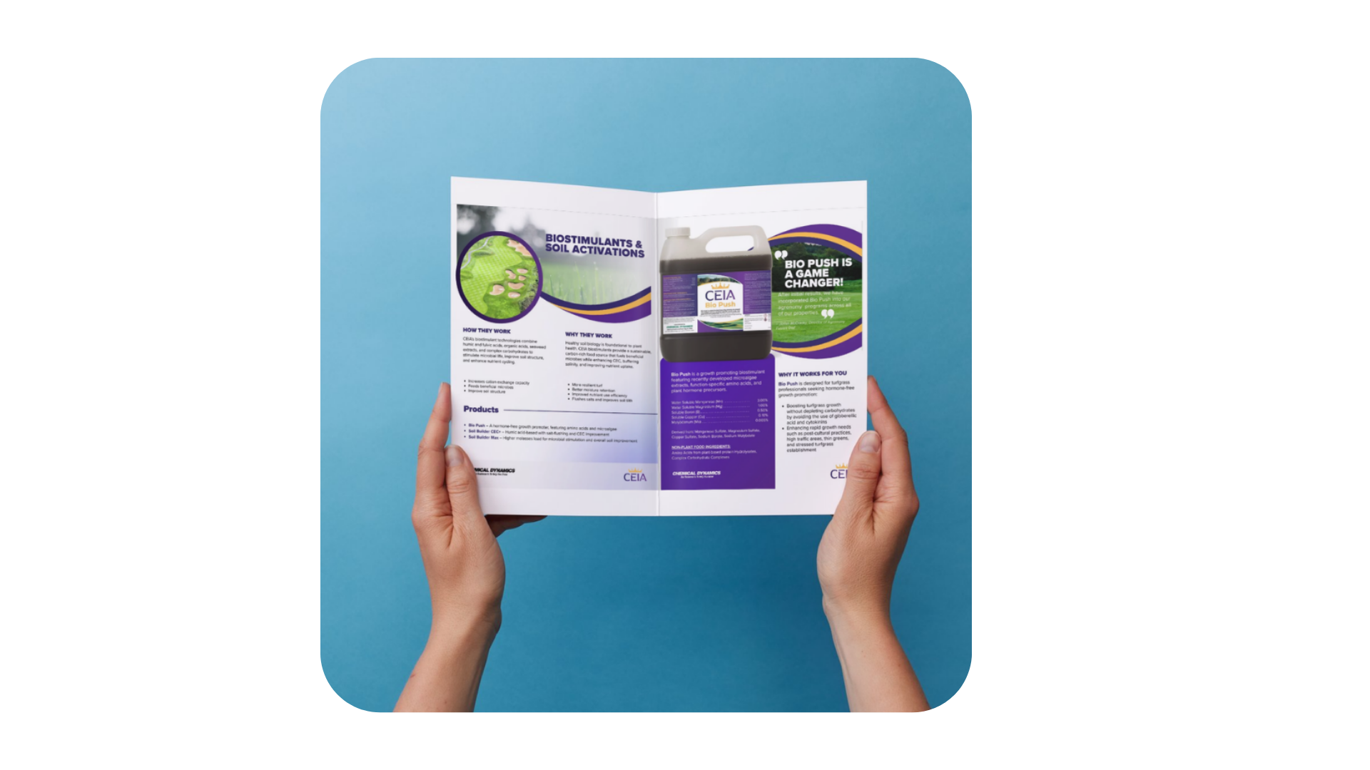 CeIA book